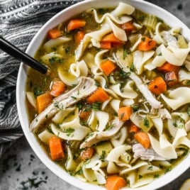bowl of chicken noodle soup with egg noodles
