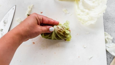 easy cabbage roll recipe