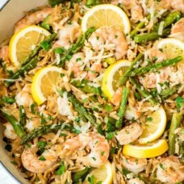 One Pot Lemon Shrimp Pasta recipe - An easy, delicious, and healthy one pot meal that the whole family will love – even the orzo gets cooked right in the pot! @wellplated