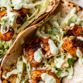 the best shrimp tacos photo with text